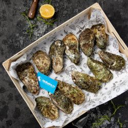 Набор с устрицей Императорская крупная