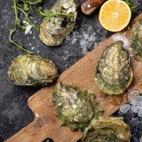 Устрица Соловьевская (Верде)