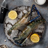 Дикая креветка СКАМПИ