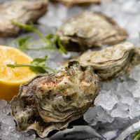 Устрица Марракеш