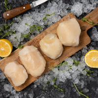 Гребешок крупный Сахалинфиле (10-20 шт в кг)