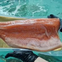 Форель радужная филе малосол (на коже, мороженое) 1,3-2 кг тушка