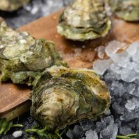 Устрица Соловьевская (Верде)