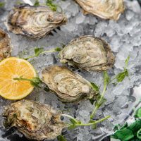 Устрица Марракеш