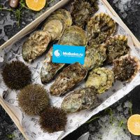 Набор микс - устрицы и морские ежи