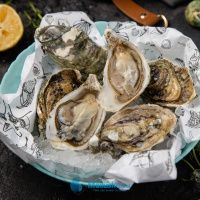 Устрица Касабланка