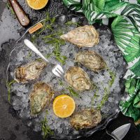 Устрица Марракеш