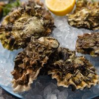 Набор с устрицей Хасанская