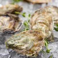 Устрица Марракеш