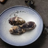 Устрица Розовая Джоли