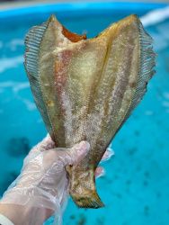 Вяленая рыба Ерш