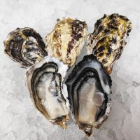 Устрица Ниидзима