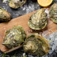 Устрица Соловьевская (Верде)