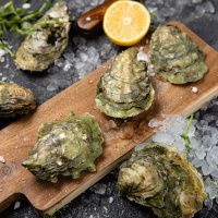 Устрица Соловьевская (Верде)