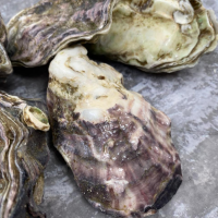 Устрица Голубой Жемчуг