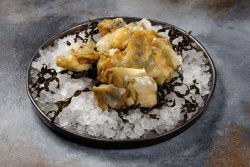 Мясо рапана (филе)