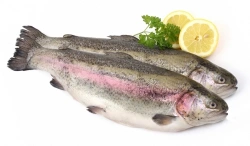 Форель радужная (0,8 кг)