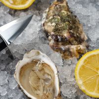 Устрица Фин де Клер