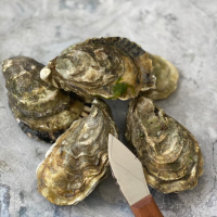 Устрица Белый жемчуг