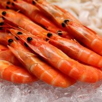 Креветка экспортная Ама Эби р. 2L, 51-60 шт/кг