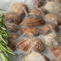 Вонголе варено-мороженое (0,5 кг)