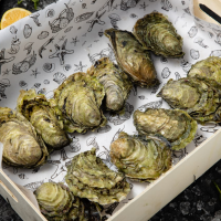 Набор с устрицей Соловьёвская крупная