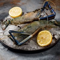 Дикая креветка СКАМПИ