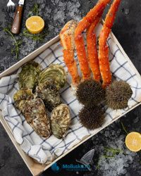 Набор № 3 Набор № 3