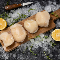 Гребешок крупный Сахалинфиле (10-20 шт в кг)