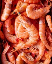 Креветка Магаданская Креветка Магаданская