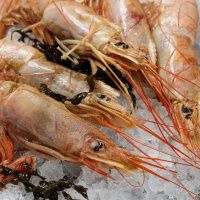 Лангустины №3