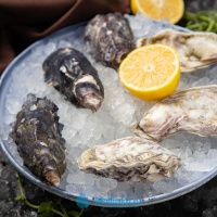 Устрица Сакура