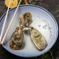 Устрица Касабланка