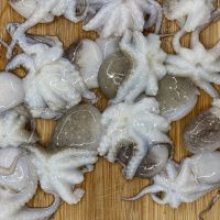 Осьминог молодой 40-60 шт в кг