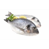 Дорадо свежемороженая