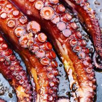 Осьминог 2-3 кг Марокко