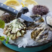 Нож с гадрой для открывания устриц