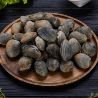 Вонголе в раковине