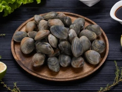 Вонголе в раковине Вонголе в раковине