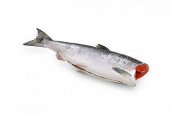 Чавыча свежемороженая (потрошеная, без головы) 3-5 кг