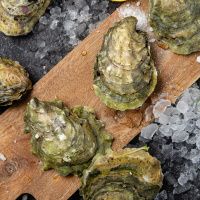 Устрица Соловьевская (Верде)