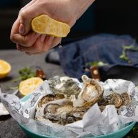 Устрица Касабланка