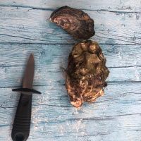 Нож для открывания устриц №2