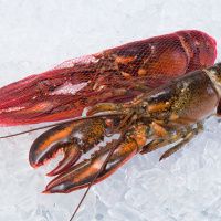 Лобстер свежемороженый