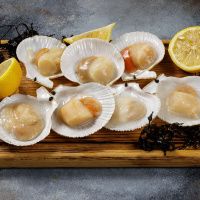 Гребешок свежемороженный на створке