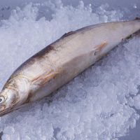 Омуль свежемороженый, н/р