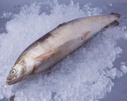 Омуль свежемороженый, н/р
