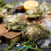 Устрица Соловьевская (Верде)