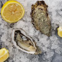 Устрица Белый жемчуг