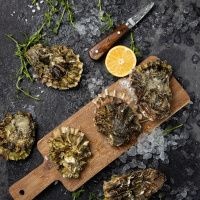 Устрица Хасанская